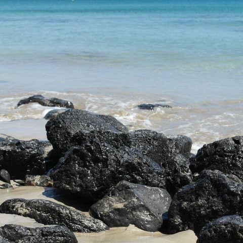 rocky beach in fuerteventura spain