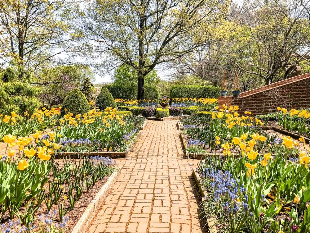 a flowered path at Kingwood Center Gardens in Ohio